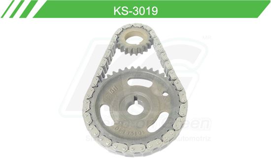 Imagen de Distribución de Cadena KS-3019